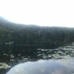 Evening mood over a pond near the hut
