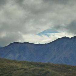 Denali peaks out from behind the clouds.
