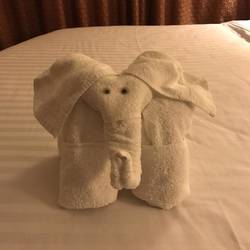 waiting in our stateroom