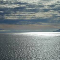 Early morning as we enter Glacier Bay.