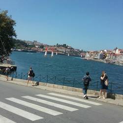 Putting up markers for race