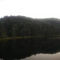 Gentian Pond - Just as we arrived a moose was swimming in there