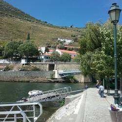 Locals fishing in the river