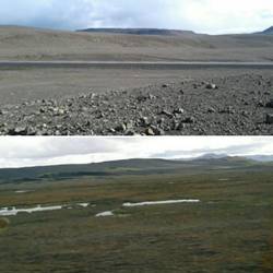 Effects of overgrazing