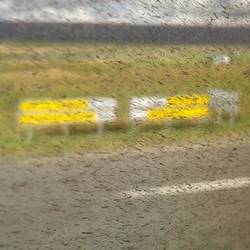 Windows got so muddy up through the highlands