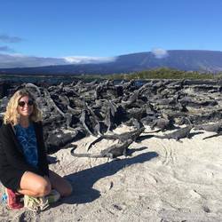 All the iguanas!