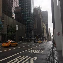 City Scenes