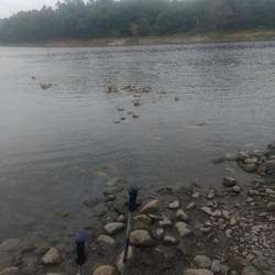The river doesn't look too scary...