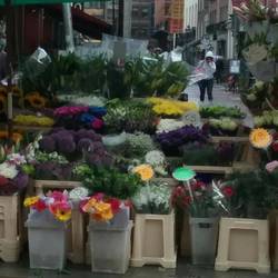 The only bit of colour in a drab street