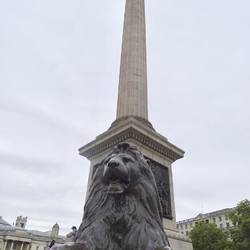 Trafalgar Square