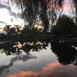 Sonnenaufgang in Chowchilla