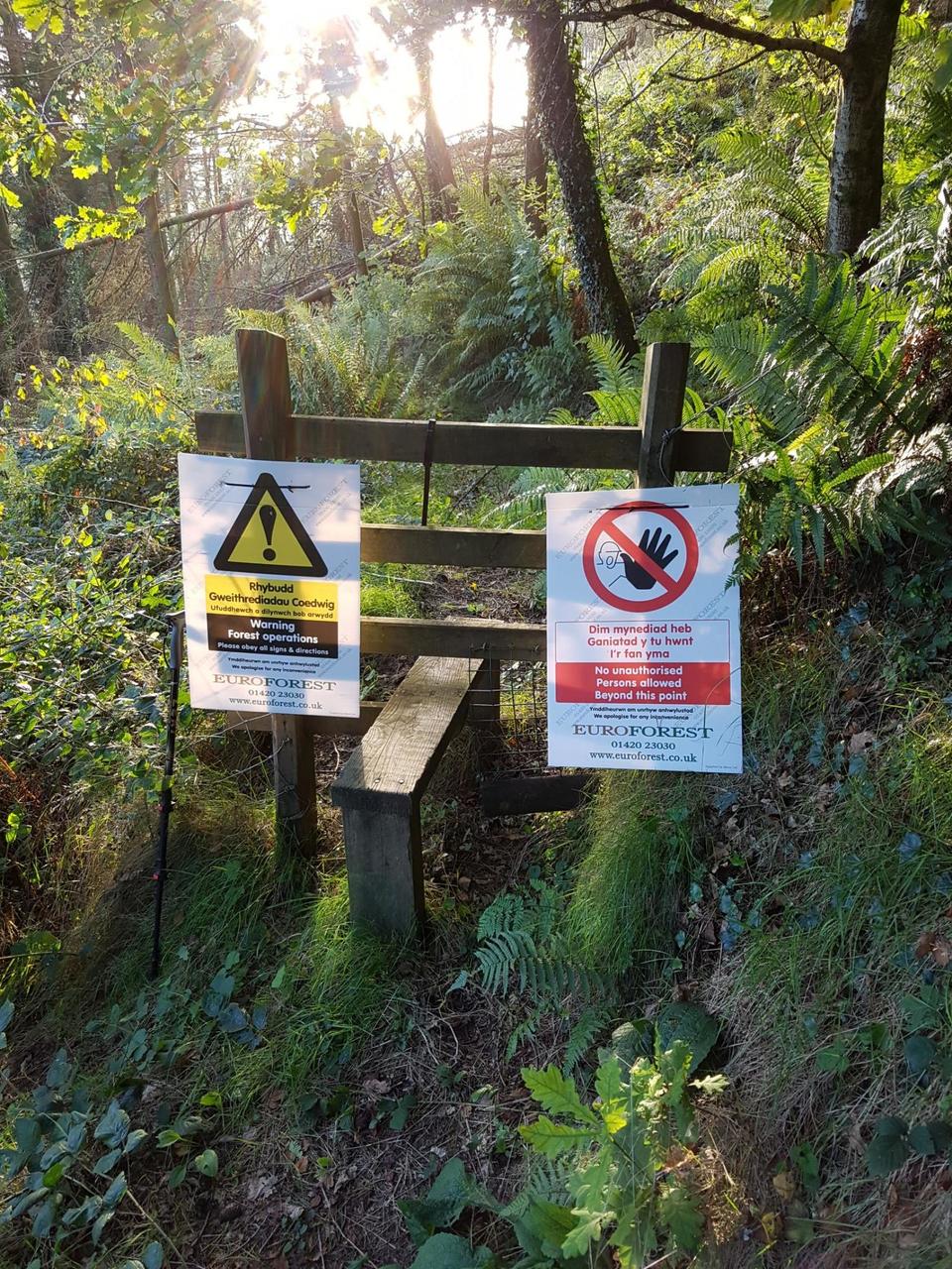 Stile marking edge of felled section of forest