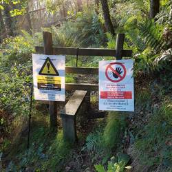 Stile marking edge of felled section of forest