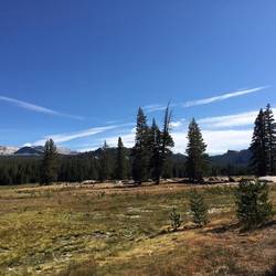 Tuolumne Meadows