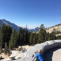Fotostopp auf der Tioga Road