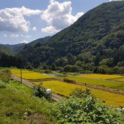On the way to Matsumoto