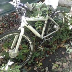 Karen's bike -12 km ride
