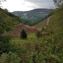 Pegwn y Bwlch looking down Castle Valley towards Crosskeys and Risca. Mynydd Machen in background.