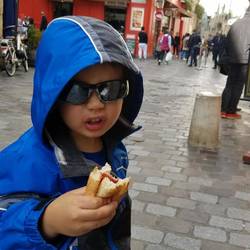 Delicious hotdogs for lunch from Clark Hotdog