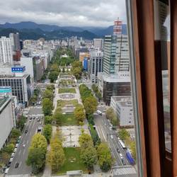 View from the observatory at the top of Sapporo TV Tower