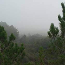 11:57am and I could still see the fog moving toward me as I had some cured ham and goat cheese for lunch