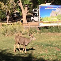 Campingplatzbesucher