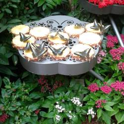 Butterflies are awake today