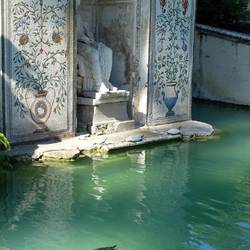 Fabulous mosaics, and cute turtles