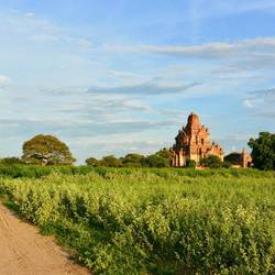 Mit dem Roller duch die (Pagoden-)Wälder