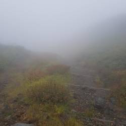 The way up
