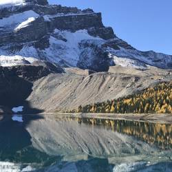 Mountainside and lake with larches.