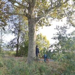 Tying up on the shoreline