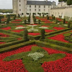 Garden excess at Villandry