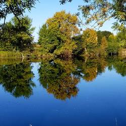 Beautiful morning in Savonnieres
