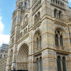 London - Natural History Museum