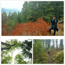 Gold Hill Trail, Kaniksu National Forest