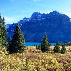 Bow Lake - campsite 3