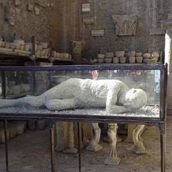 Plaster caste of body found under the ashes