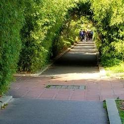 Promenade Plantee.. elevated linear park