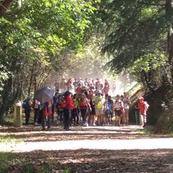 This was a school group so slightly atypical, but gives you that "horde" idea