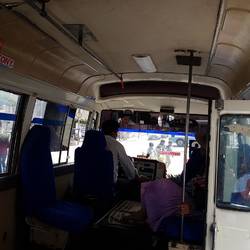 The micro no. 4 to Dino Park
