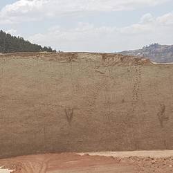 Dinosaur footprints on the vertical wall opposite