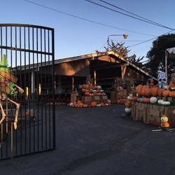 Halloween steht vor der Tür