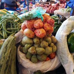 Different kind of potatoes