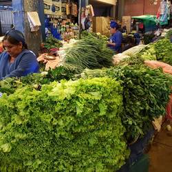 Greens