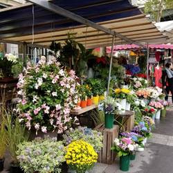 Always a flower shop....or three.