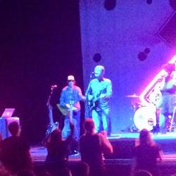 The New Pornographers