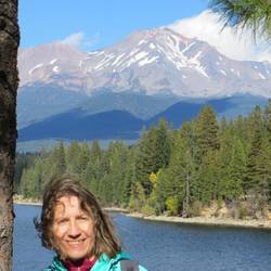Mt. Shasta im Lake Siskiyou