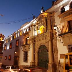 Bolivian Mint at night