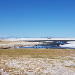 Flamingos in the lagoon at the edge of the salar